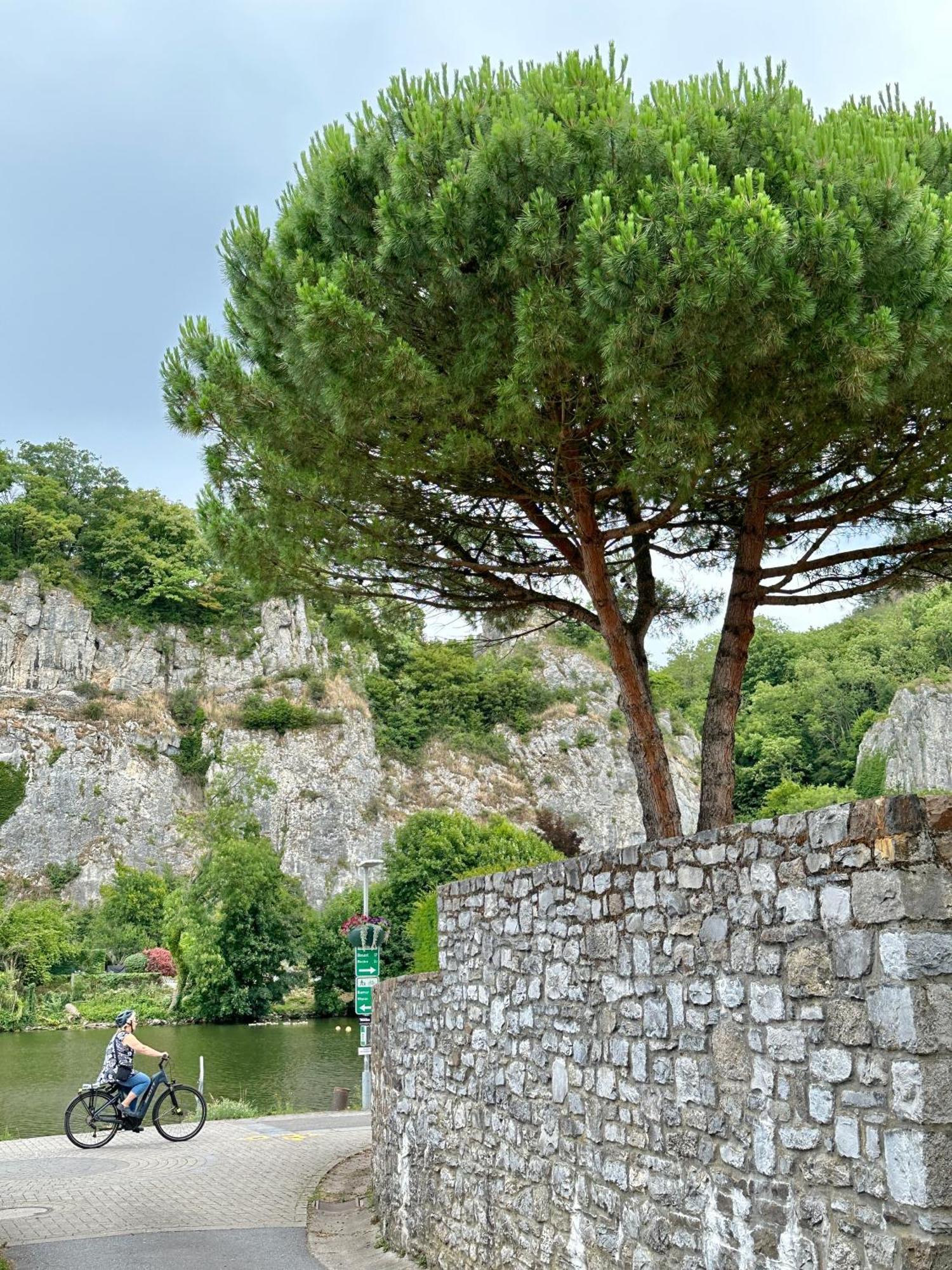 Plaisances, Les Plaisirs Du Bord De Meuse - Chambre D'Hotes Avec Baignoire Spa Profondeville Exterior foto